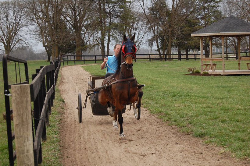 Top Equestrian Facility in Columbia, MO • Glendale Stables Facilities